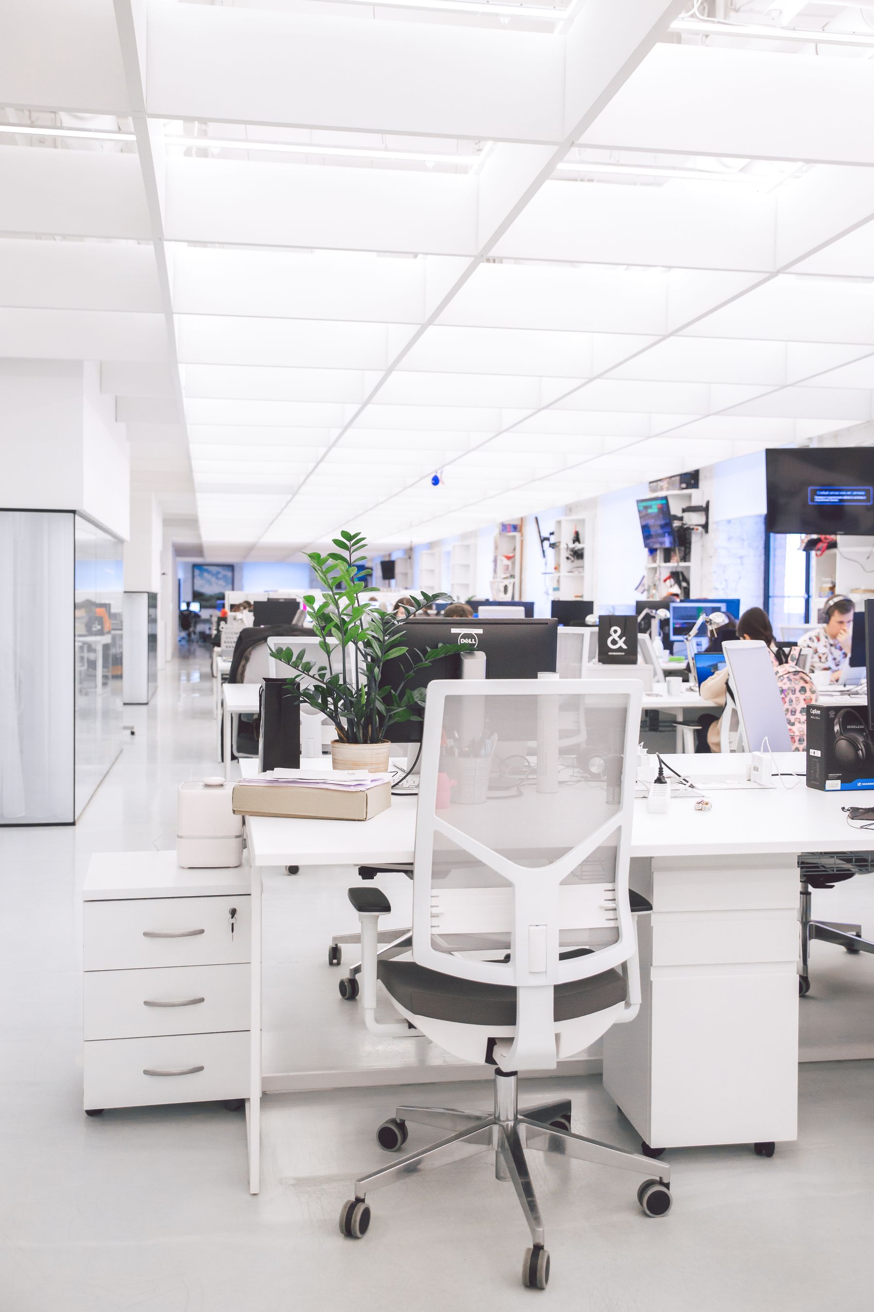 Light-filled commercial office with clean wall finishes